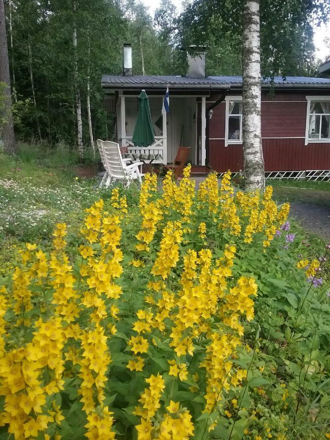 Ilmastoitu Kesaemoekki Askolassa Laehellae Porvoota Экстерьер фото